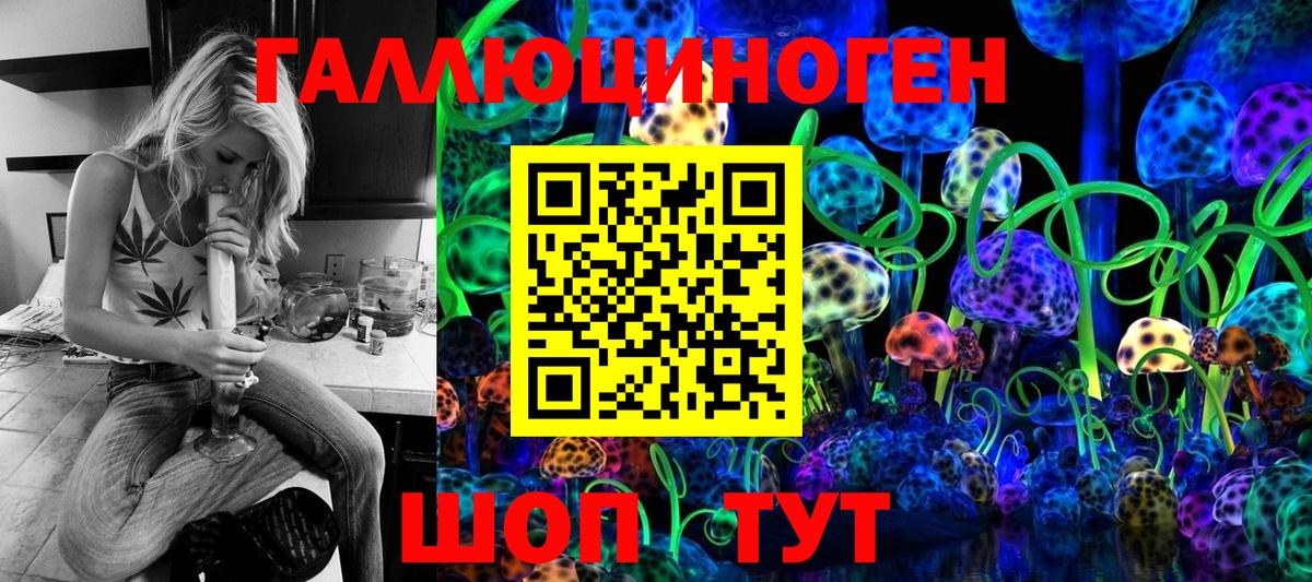 Александров  купить   Галлюциногенные грибы Psilocybe  Вход с VPN  Псилоцибиновые грибы GOLDEN TEACHER 