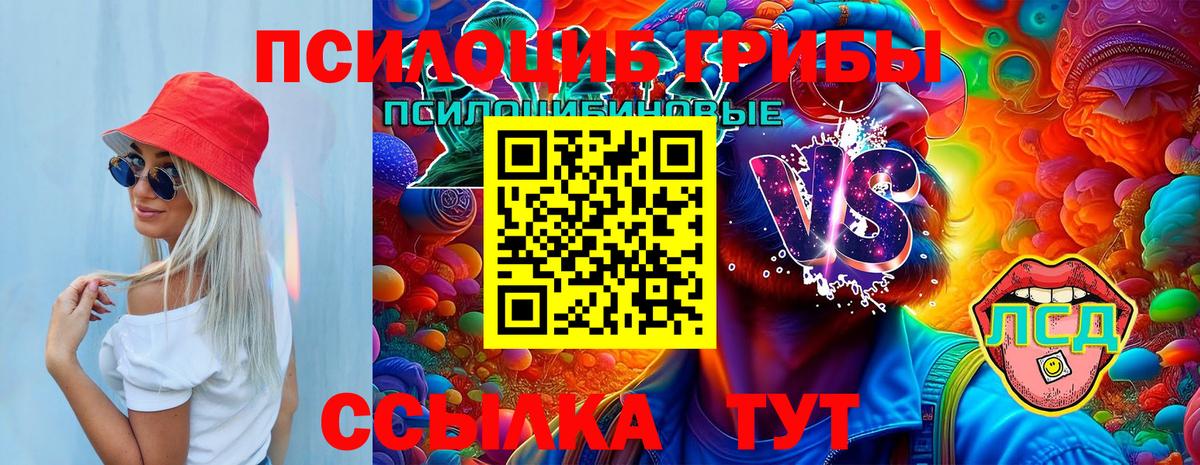 Псилоцибиновые грибы Psilocybine cubensis Александров